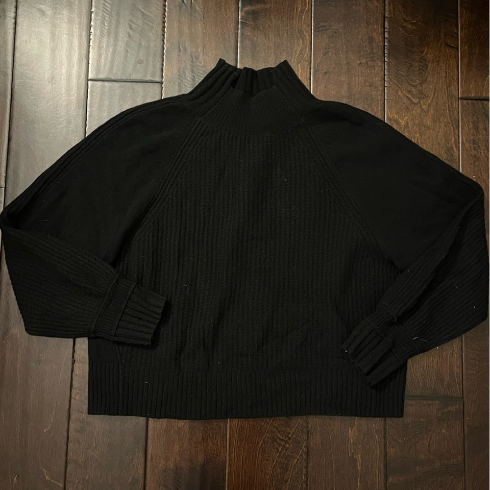 Everlane Turtleneck